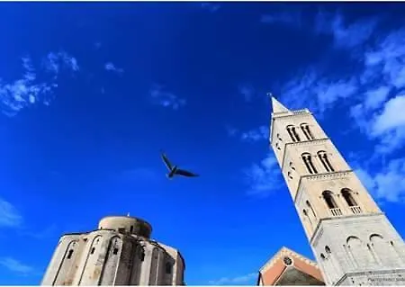 Апартаменти Rosa Solis