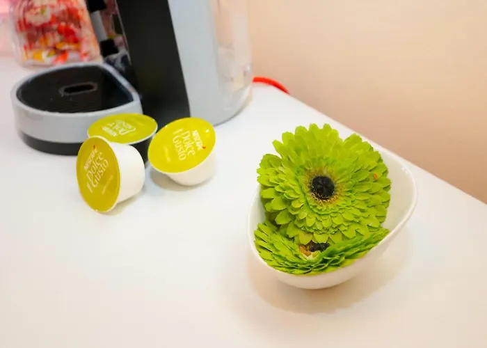 Rosa Solis Lejlighed